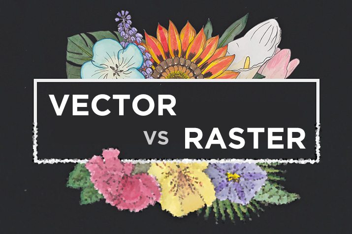 keyline raster vector 0002, Graphic Design Courses